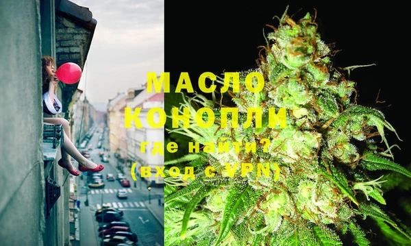 бошки Бронницы