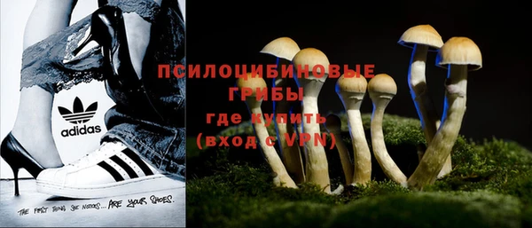 бошки Бронницы